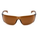 Okulary Ochronne Carhartt Billings Safety Glasses