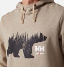 Bluza Helly Hansen Graphic Hoodie