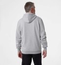 Bluza Helly Hansen Graphic Hoodie