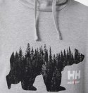 Bluza Helly Hansen Graphic Hoodie