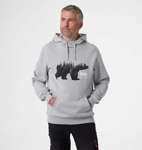 Bluza Helly Hansen Graphic Hoodie