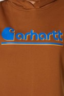 Bluza Carhartt Tencel Fiber Fall Graphic