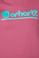 Bluza Carhartt Tencel Fiber Fall Graphic