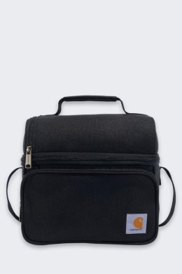 Izolowany Lunchbox Carhartt 12 Can