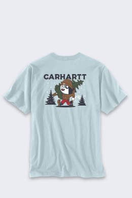 Koszulka Carhartt Heavyweight Graphic