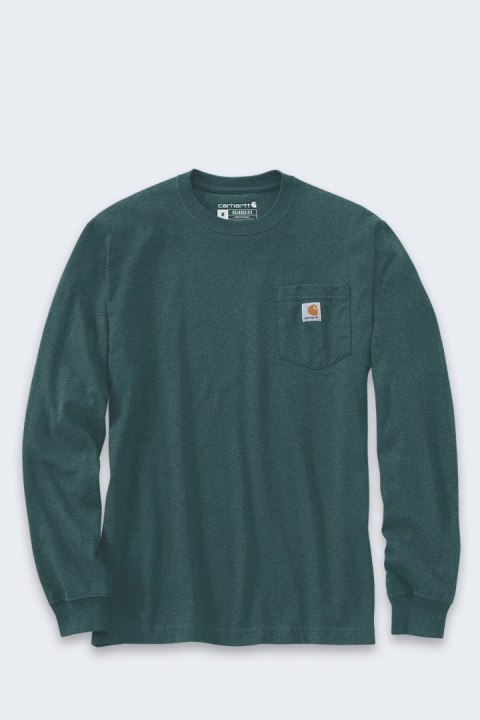 Koszulka Carhartt Moutain Graphic LS