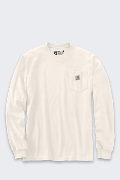 Koszulka Carhartt Moutain Graphic LS