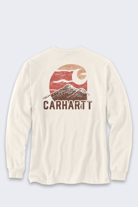 Koszulka Carhartt Moutain Graphic LS