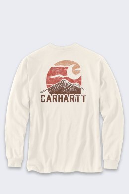 Koszulka Carhartt Moutain Graphic LS