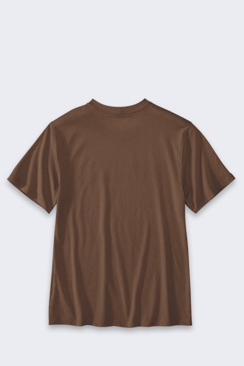 Koszulka Carhartt Relaxed Fit Script Graphic