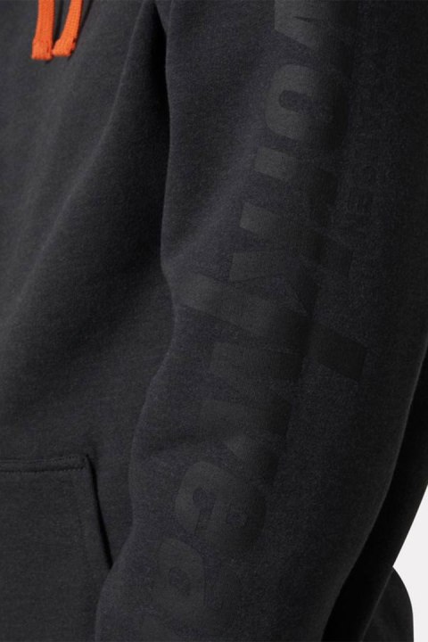 Bluza Helly Hansen Logo Hoodie