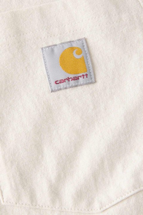 Koszulka Carhartt Moutain Graphic LS