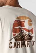 Koszulka Carhartt Moutain Graphic LS