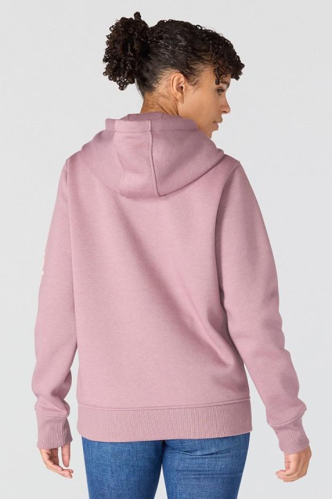 Bluza Carhartt Iconic Clarksburg Logo