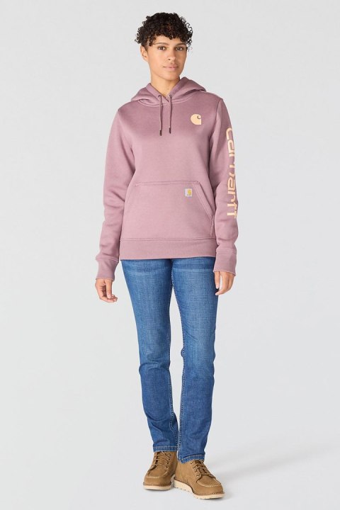 Bluza Carhartt Iconic Clarksburg Logo