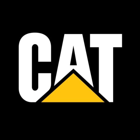 Wyrzynarka Caterpillar zasilanie akumulatorowe DX51B